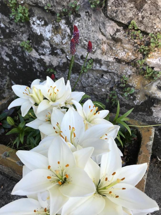 South Craighall B&B Eaglesham Εξωτερικό φωτογραφία