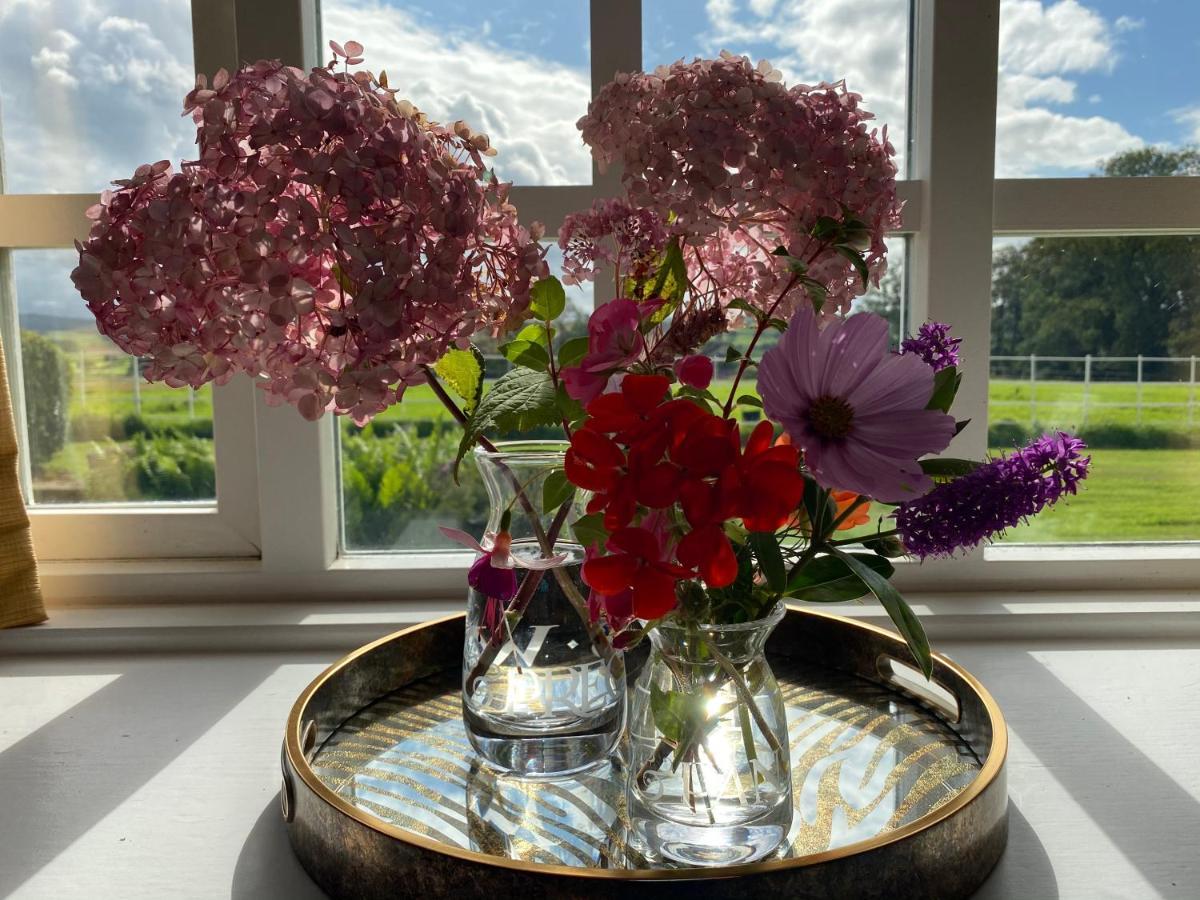 South Craighall B&B Eaglesham Εξωτερικό φωτογραφία