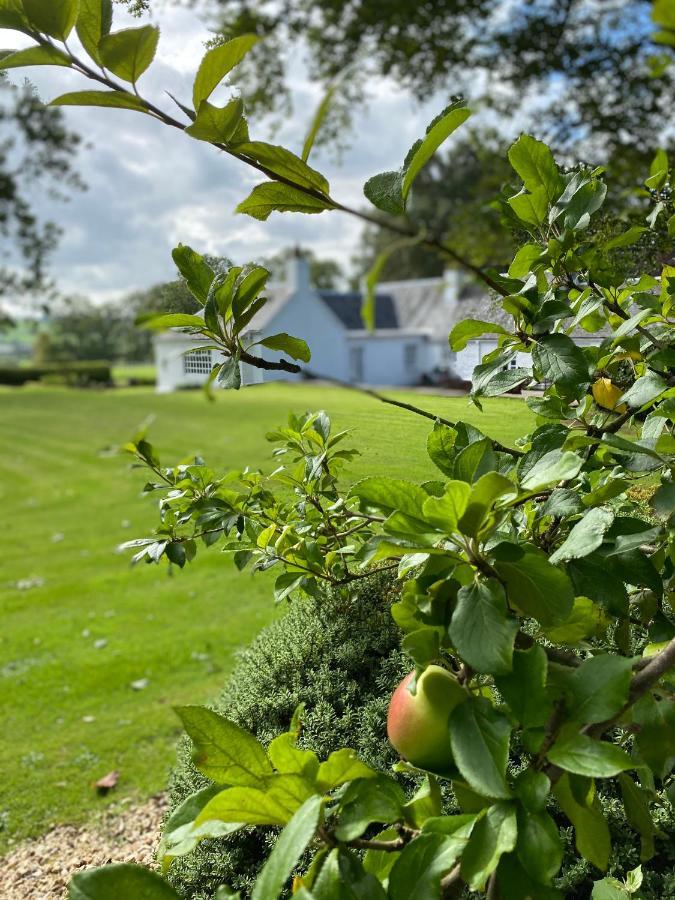 South Craighall B&B Eaglesham Εξωτερικό φωτογραφία
