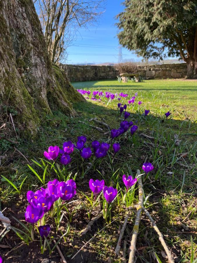 South Craighall B&B Eaglesham Εξωτερικό φωτογραφία