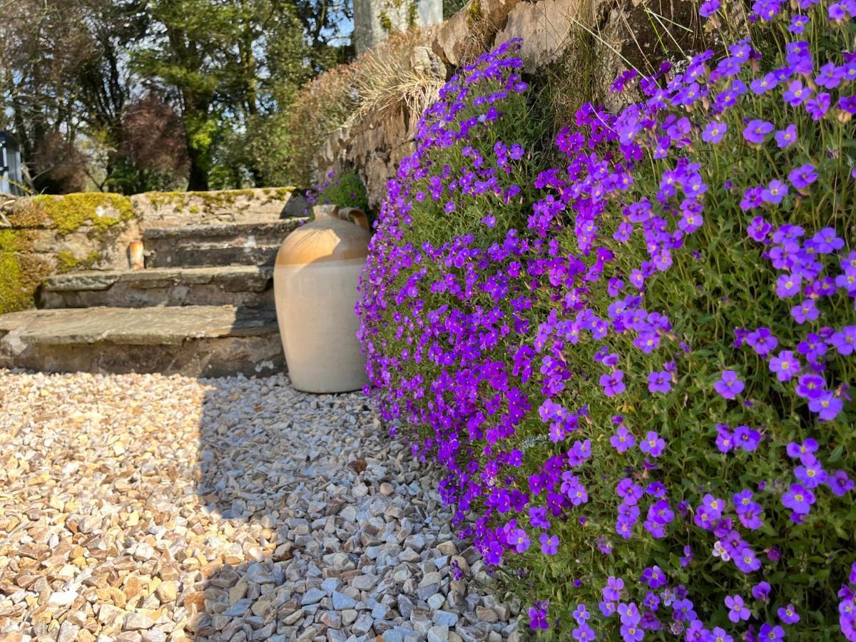 South Craighall B&B Eaglesham Εξωτερικό φωτογραφία