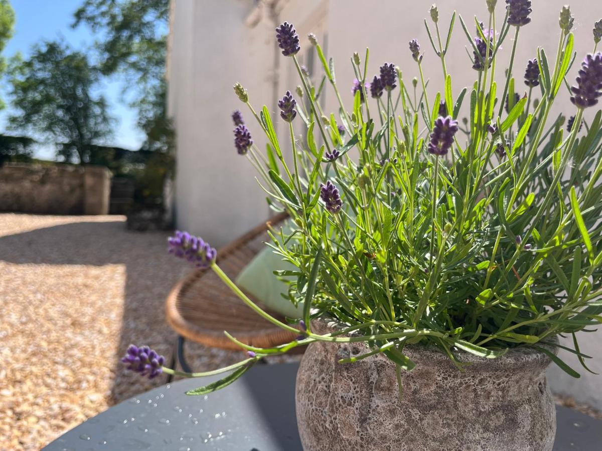 South Craighall B&B Eaglesham Εξωτερικό φωτογραφία